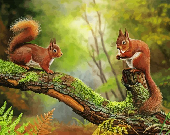 Red Squirrels Animal Painting By Numberss.png