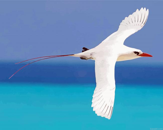 Red Tailed Sea Tropicbird Paint By Numbers