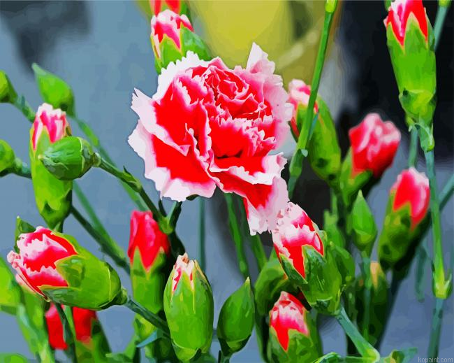 Red White Carnation Paint By Numbers.png