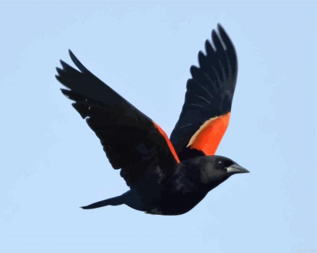 Red Winged Black Bird Paint By Numbers