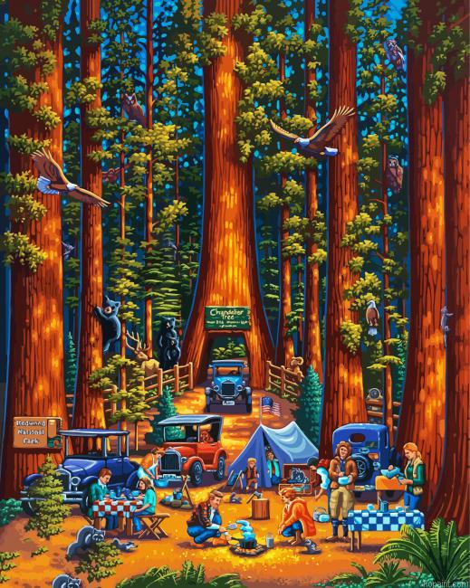 Redwood National Park Painting By Numberss.png