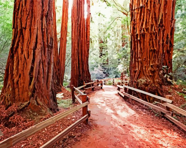 Redwoods Trees Painting By Numberss.png