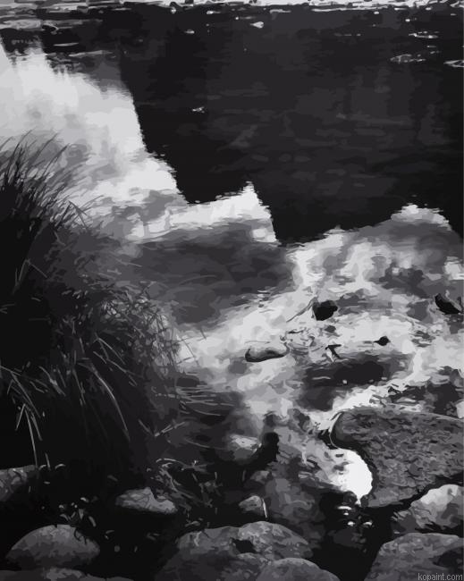Reflection Merced River By Ansel Adams Painting By Numberss.png
