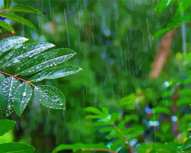 Relaxing Rain Forest Painting By Numberss.png