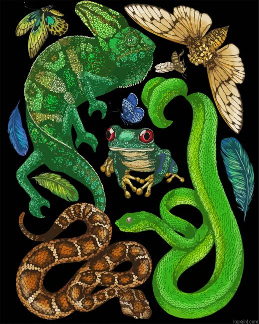 Reptile And Amphibians Painting By Numberss.png