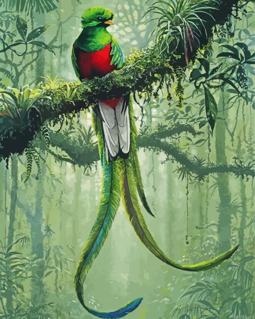 Resplendent Quetzal Painting By Numberss.png