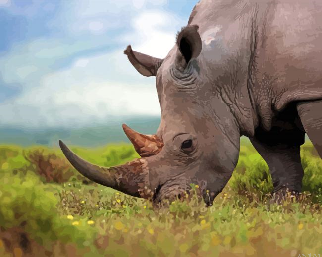 Rhinoceros Animal Paint By Numbers