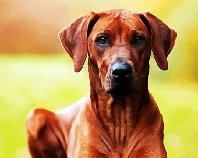 Rhodesian Ridgeback Brown Dogs Paint By Numbers.png