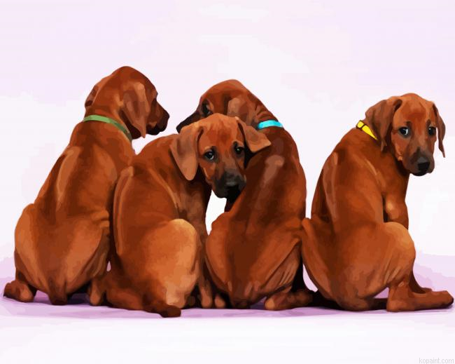 Rhodesian Ridgeback Puppies Paint By Numbers.png