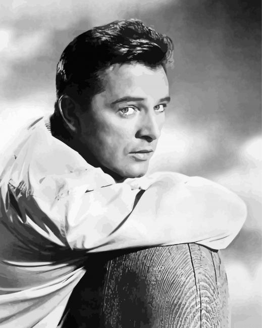 Richard Burton Paint By Numbers