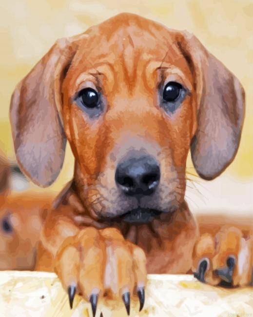 Ridgeback Puppies Paint By Numbers