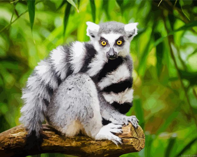 Ring Tailed Lemur Primate Painting By Numberss.png