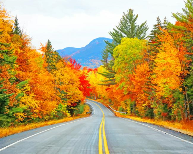 Road Autumn Trees New Painting By Numberss.png