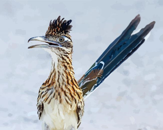 Roadrunner Birds Painting By Numberss.png