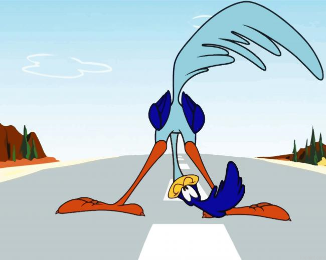 Roadrunner Cartoon Painting By Numberss.png