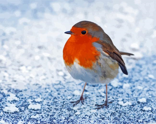 Robin Bird Animal Paint By Numbers