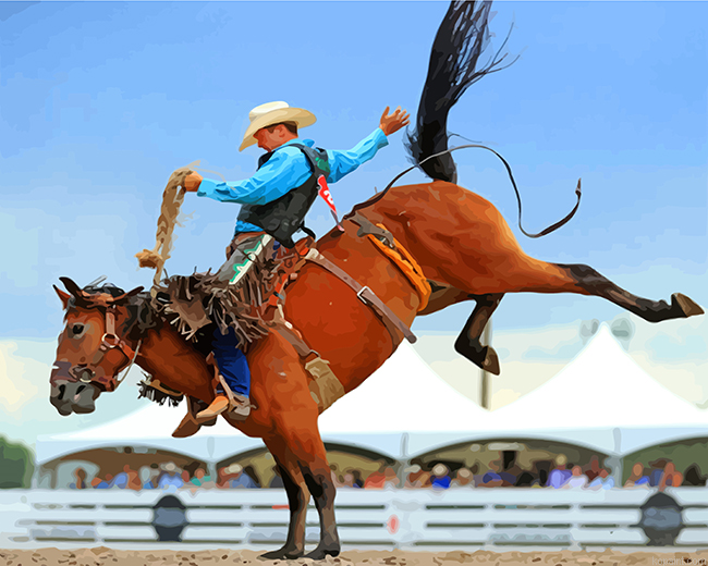 Rodeo Man Painting By Numberss.png