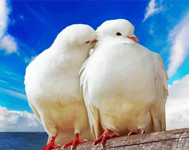 Romantic White Doves Painting By Numberss.png