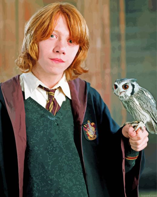 Ron Weasley And Pigwidgeon Painting By Numberss.png