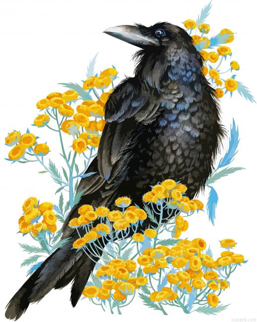 Rook Bird Art Painting By Numberss.png