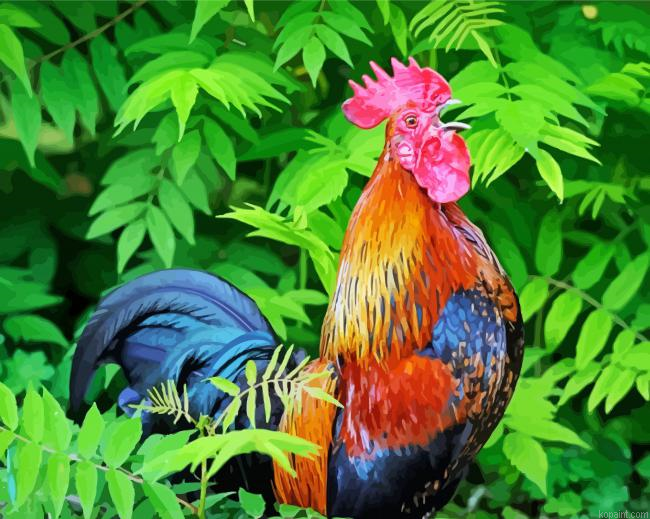 Rooster Bird Animal Painting By Numberss.png