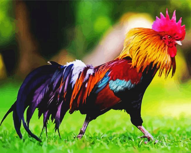 Rooster Bird In Grass Painting By Numberss.png