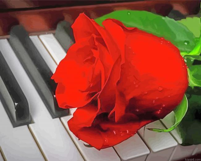 Rose On Piano Paint By Numbers