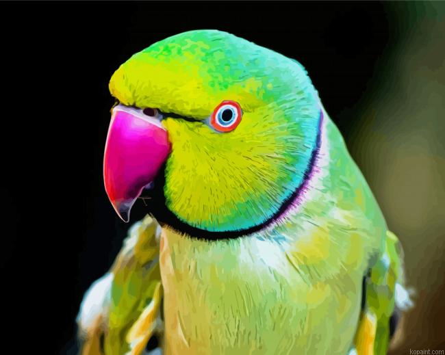Rose Ringed Parakeet Painting By Numberss.png