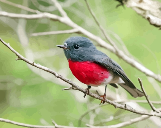 Rose Robin Painting By Numberss.png