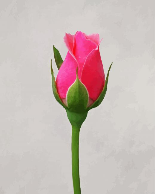 Rosebud Flower Painting By Numberss.png