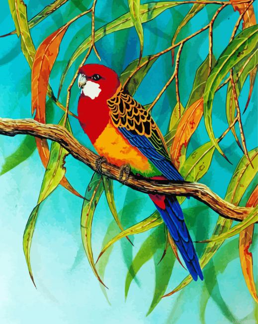 Rosella Art Painting By Numberss.png