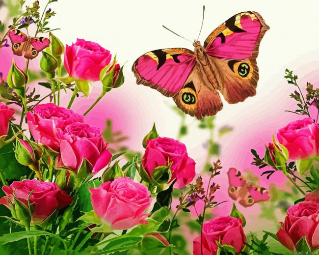 Roses And Butterfly Painting By Numberss.png