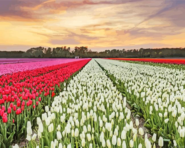 Roses Field Painting By Numberss.png
