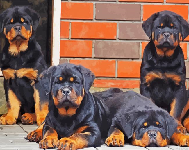 Rottweiler Family Painting By Numberss.png