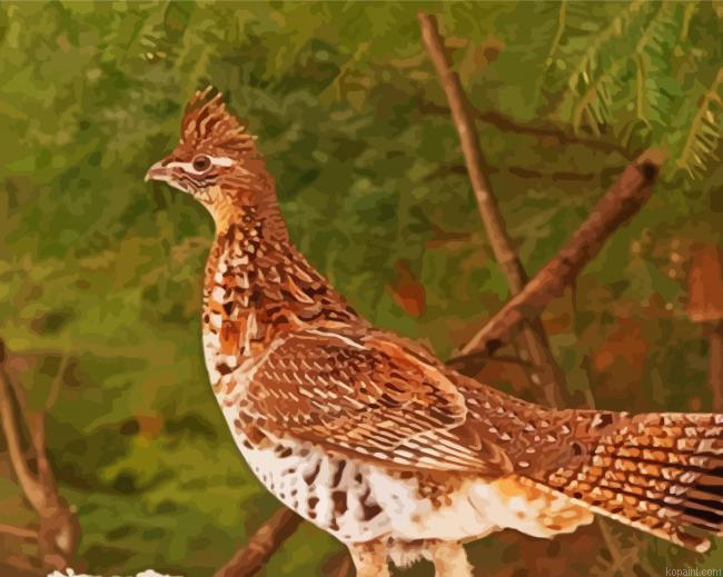 Ruffed Grouse Painting By Numberss.png
