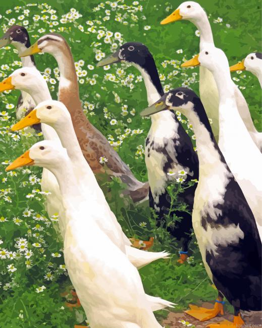 Runner Ducks Painting By Numberss.png