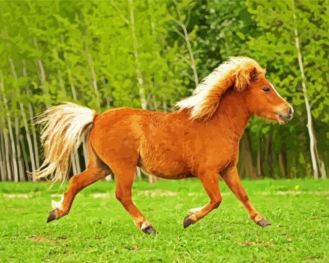 Running Pony Animal Painting By Numberss.png