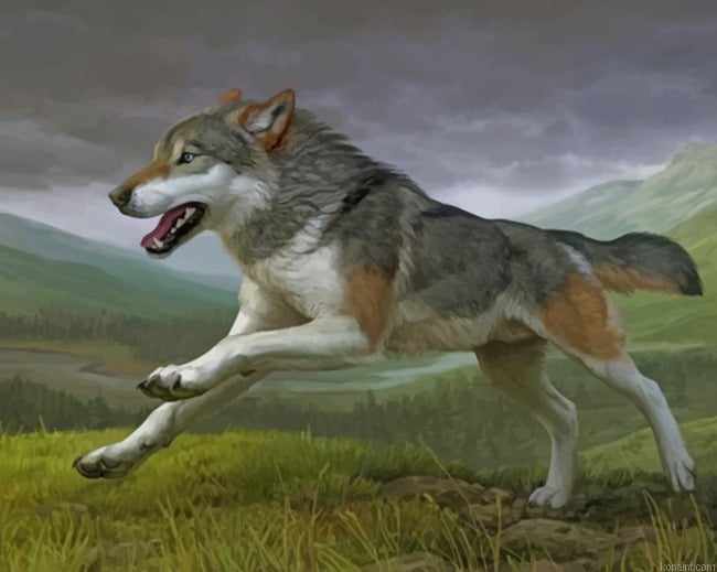 Running Wolf New Painting By Numberss.png