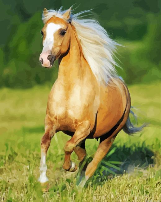 Running Yellow Horse Painting By Numberss.png