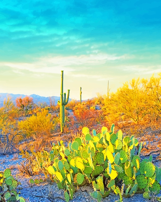 Saguaro National Park New Painting By Numberss.png