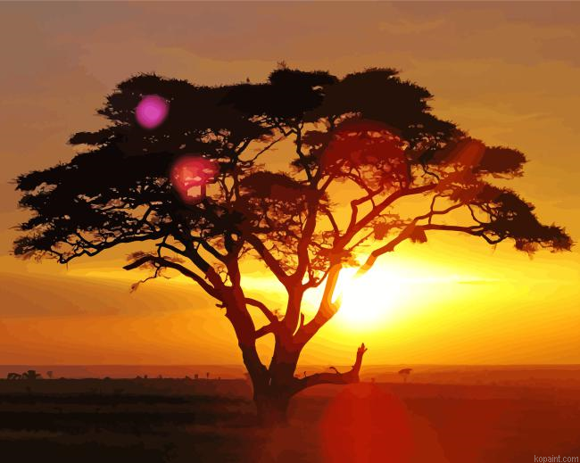 Sahara Tree At Sunset Painting By Numberss.png