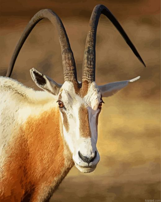 Saharian Oryx Animal Paint By Numbers.png