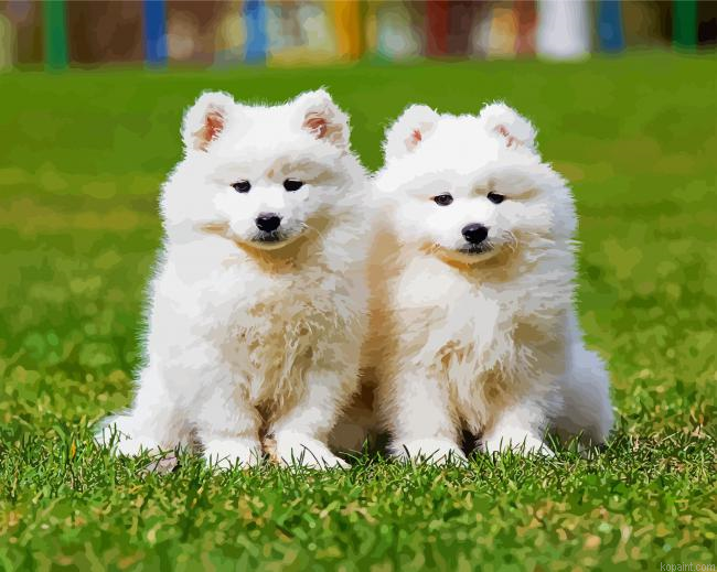 Samoyed Puppies Painting By Numberss.png