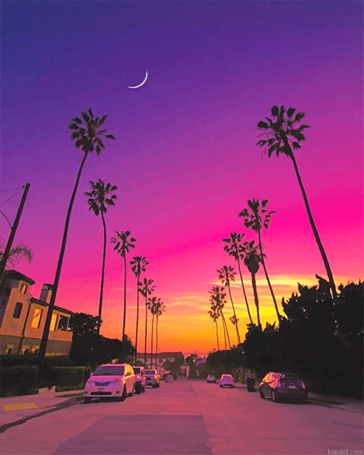 San Diego California New Painting By Numberss.png