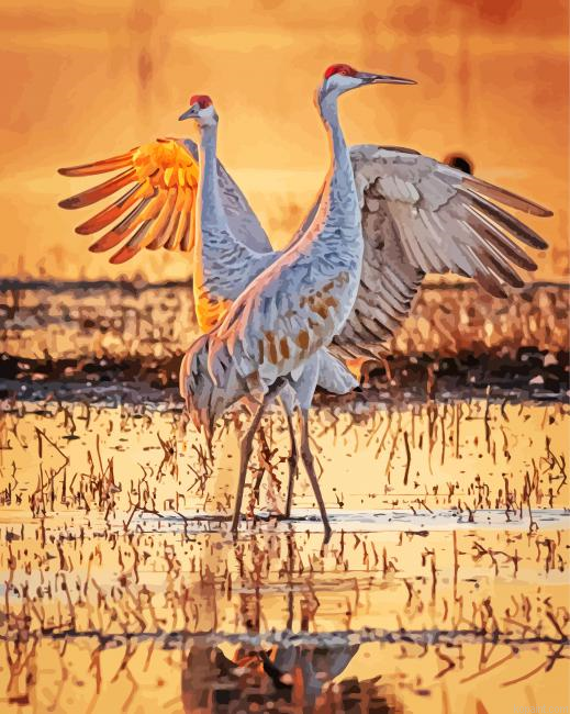 Sandhill Cranes At Sunrise Painting By Numberss.png