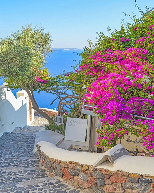 Santorini Greece Pink Flowers New Painting By Numberss.png