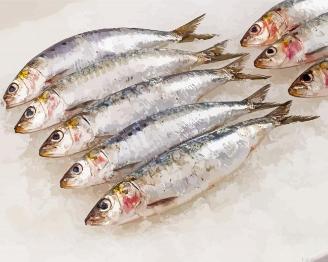 Sardine Fish Paint By Numbers