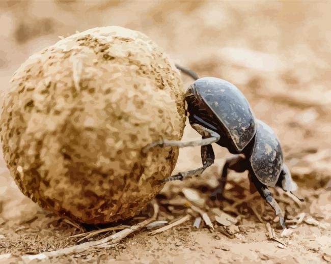 Scarab Beetle Rolling Dung Painting By Numberss.png