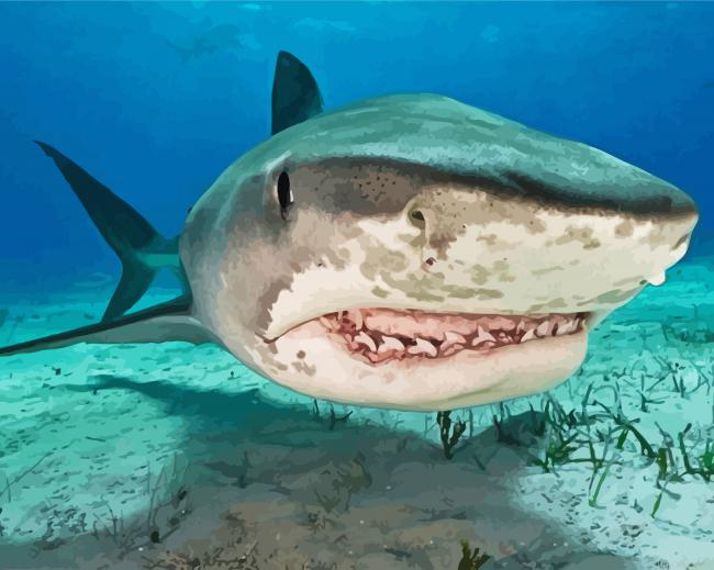 Scary Shark In The Sea Painting By Numberss.png