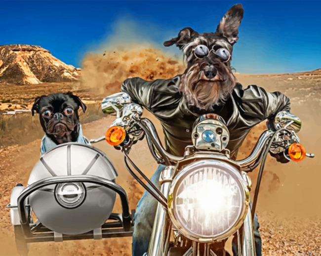 Schnauzer And Bulldog Paint By Numbers